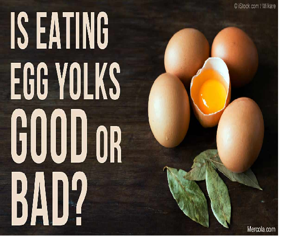 Nutritional value and benefits of egg consumption