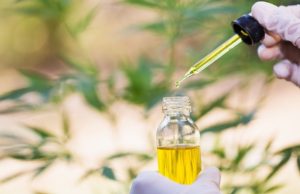 All The Benefits That A Balance CBD Oil Offers To Ailing People