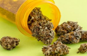 The Best Strain is Always Found In Between