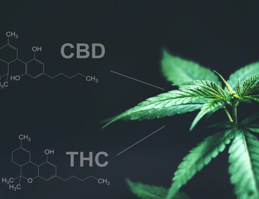 CBD health benefits