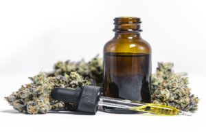 Are Hemp and CBD Oil the Same Thing?