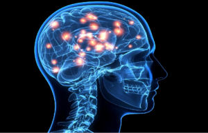 YOUR BRAIN YOUNG