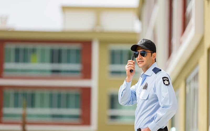 Security Guard in a Hospital